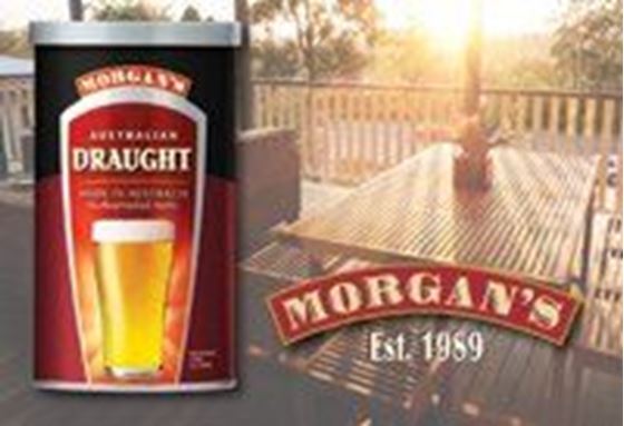 Picture of Morgans Australian Draught