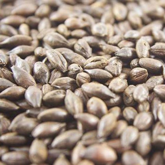Picture of Joe White Roasted Barley 10 g