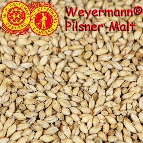 Picture of German Weyermann Cara Pilsner Malt 10 g