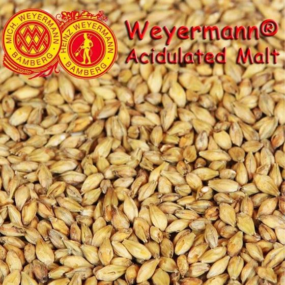 Picture of German Weyermann Acidulated Malt 10g