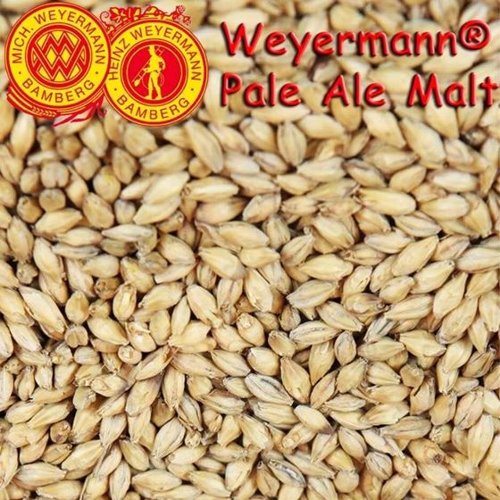 Picture of German Weyermann Pale Ale Malt 100 g