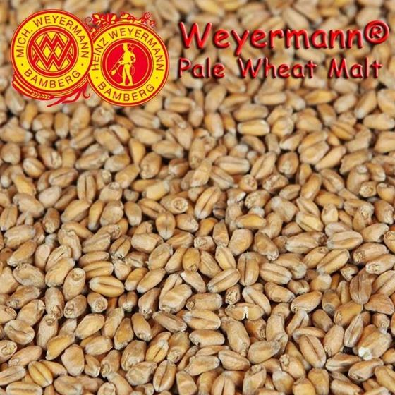 Picture of German Weyermann Wheat Malt 100 g