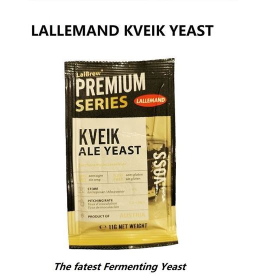 Picture of LALLEMAND KVEIK ALE YEAST 11G