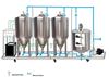 Picture of Temperature Controlled 3 x 150L Fermenter with Mixer in Skid