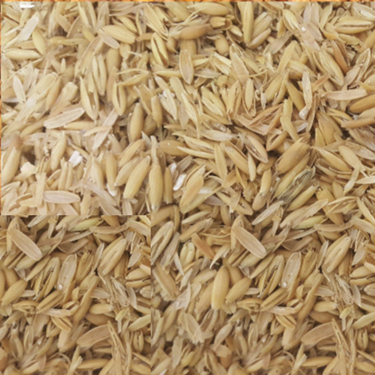 Picture of Rice Hull 100g